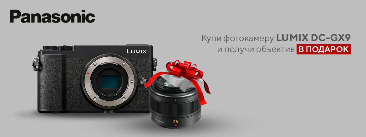 Panasonic DC-GX9