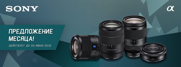 sony sel sale