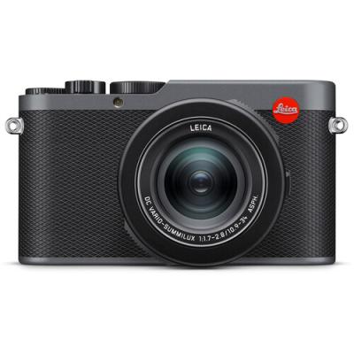 Фотоаппарат Leica D-Lux 8 Metal Gray- фото