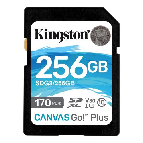  Карта памяти Kingston Canvas Go Plus SDXC 256GB - фото